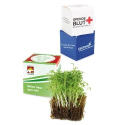 Kit de plantation Trio de pots terre cuite avec graines à semer Made in  France personnalisable à votre logo - Le Cadeau Français®
